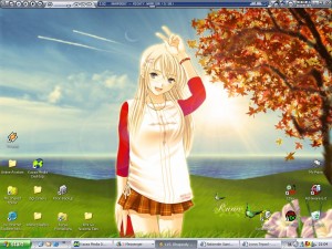 Maydesktop What the hell are anime plaatjes?