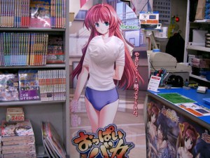 animecardboard2